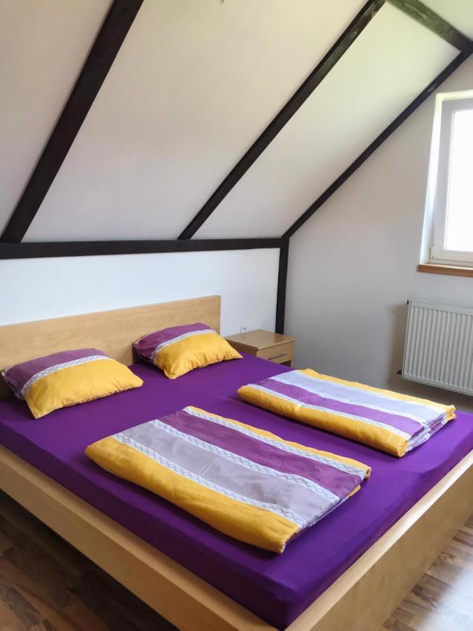 Na Cervene Louce Relax 1 Villa Cheb Kültér fotó