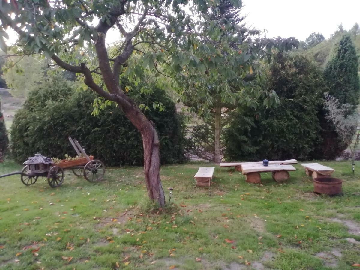 Na Cervene Louce Relax 1 Villa Cheb Kültér fotó