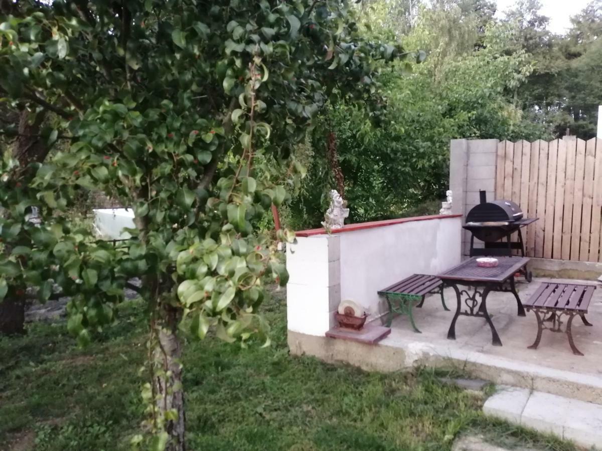Na Cervene Louce Relax 1 Villa Cheb Kültér fotó
